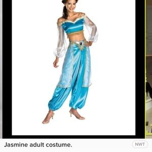 Jasmin costume